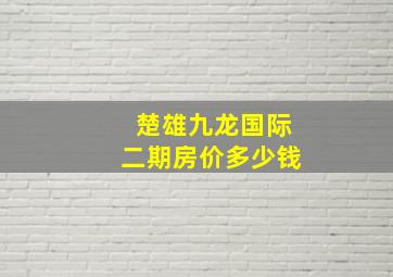 楚雄九龙国际二期房价多少钱