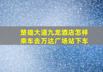 楚雄大道九龙酒店怎样乘车去万达广场站下车