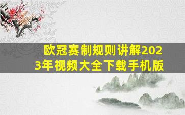 欧冠赛制规则讲解2023年视频大全下载手机版