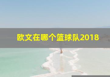 欧文在哪个篮球队2018