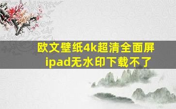 欧文壁纸4k超清全面屏ipad无水印下载不了