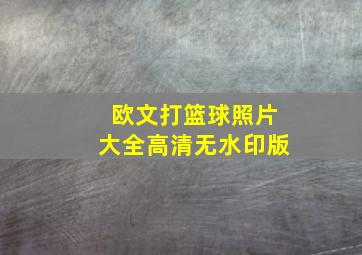 欧文打篮球照片大全高清无水印版