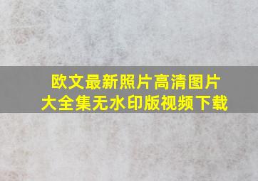 欧文最新照片高清图片大全集无水印版视频下载