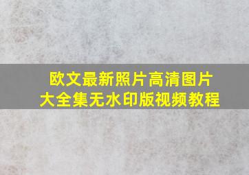 欧文最新照片高清图片大全集无水印版视频教程