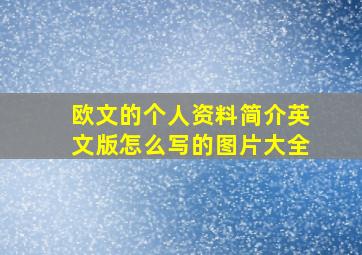 欧文的个人资料简介英文版怎么写的图片大全