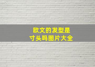 欧文的发型是寸头吗图片大全