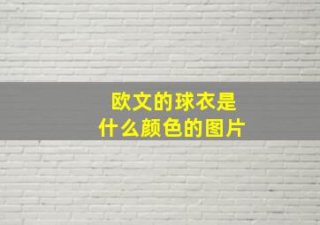 欧文的球衣是什么颜色的图片