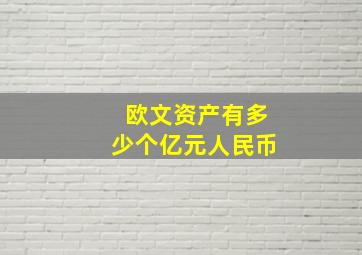 欧文资产有多少个亿元人民币