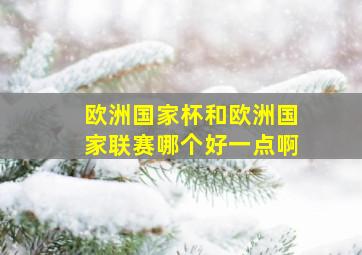 欧洲国家杯和欧洲国家联赛哪个好一点啊