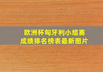 欧洲杯匈牙利小组赛成绩排名榜表最新图片