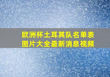 欧洲杯土耳其队名单表图片大全最新消息视频