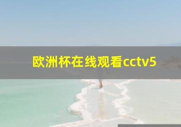 欧洲杯在线观看cctv5