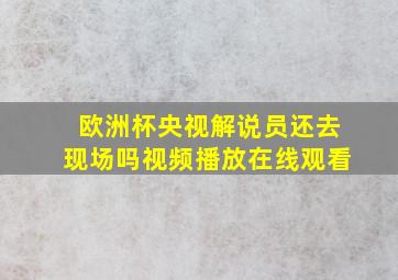 欧洲杯央视解说员还去现场吗视频播放在线观看