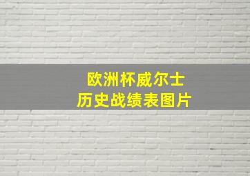 欧洲杯威尔士历史战绩表图片