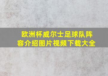 欧洲杯威尔士足球队阵容介绍图片视频下载大全