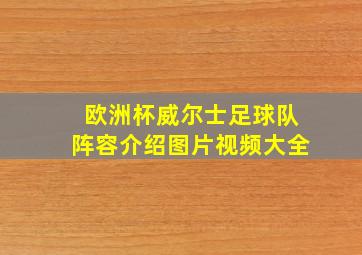 欧洲杯威尔士足球队阵容介绍图片视频大全