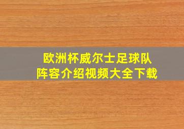 欧洲杯威尔士足球队阵容介绍视频大全下载