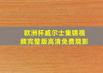 欧洲杯威尔士集锦视频完整版高清免费观影