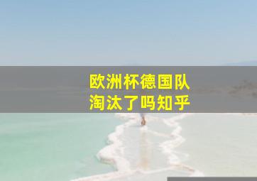 欧洲杯德国队淘汰了吗知乎