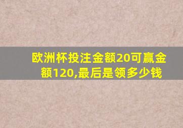 欧洲杯投注金额20可赢金额120,最后是领多少钱