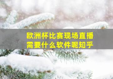 欧洲杯比赛现场直播需要什么软件呢知乎