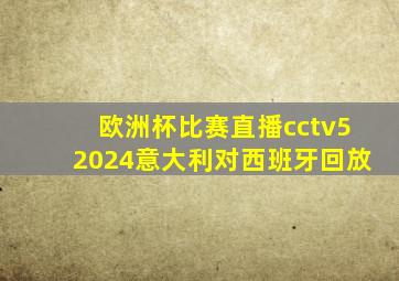 欧洲杯比赛直播cctv52024意大利对西班牙回放