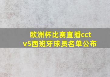 欧洲杯比赛直播cctv5西班牙球员名单公布