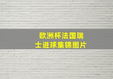 欧洲杯法国瑞士进球集锦图片