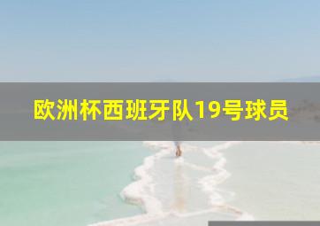 欧洲杯西班牙队19号球员