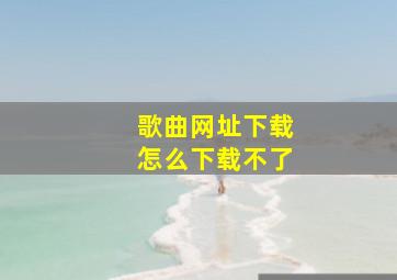 歌曲网址下载怎么下载不了