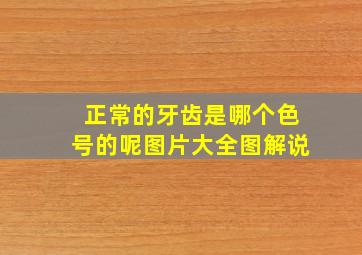 正常的牙齿是哪个色号的呢图片大全图解说