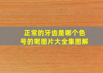 正常的牙齿是哪个色号的呢图片大全集图解