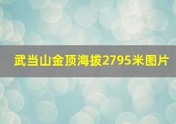 武当山金顶海拔2795米图片