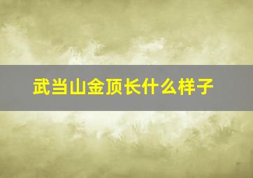 武当山金顶长什么样子