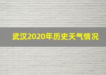 武汉2020年历史天气情况