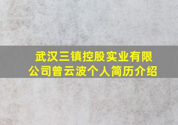 武汉三镇控股实业有限公司曾云波个人简历介绍