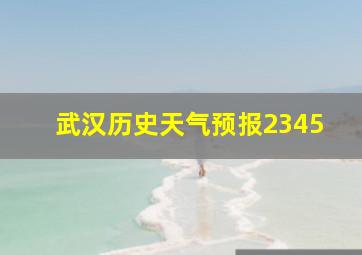 武汉历史天气预报2345