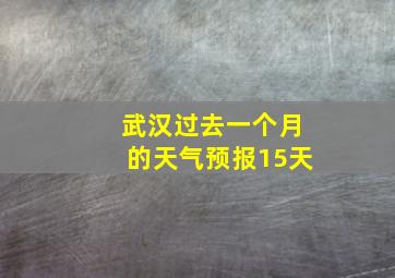 武汉过去一个月的天气预报15天