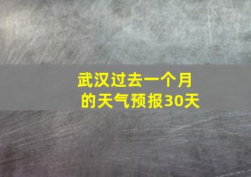 武汉过去一个月的天气预报30天