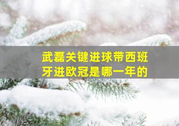 武磊关键进球带西班牙进欧冠是哪一年的