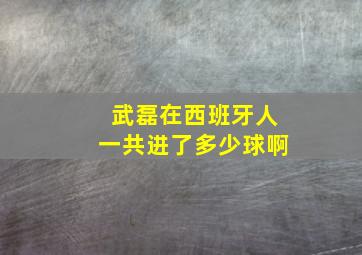 武磊在西班牙人一共进了多少球啊