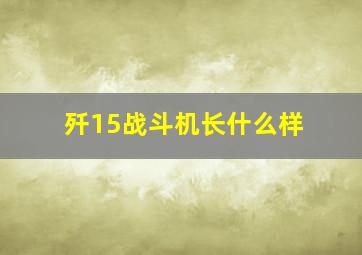 歼15战斗机长什么样