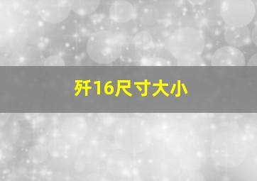 歼16尺寸大小