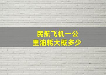 民航飞机一公里油耗大概多少