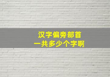 汉字偏旁部首一共多少个字啊