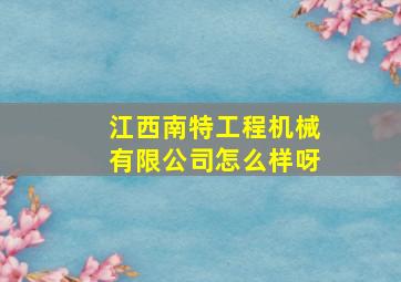 江西南特工程机械有限公司怎么样呀