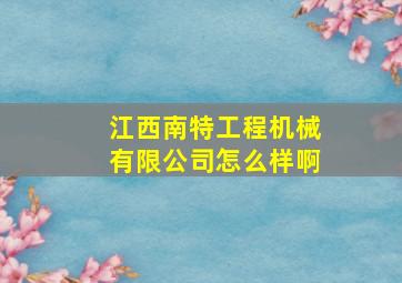 江西南特工程机械有限公司怎么样啊