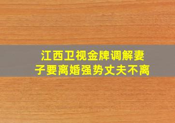 江西卫视金牌调解妻子要离婚强势丈夫不离