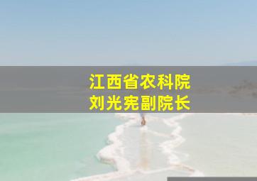 江西省农科院刘光宪副院长