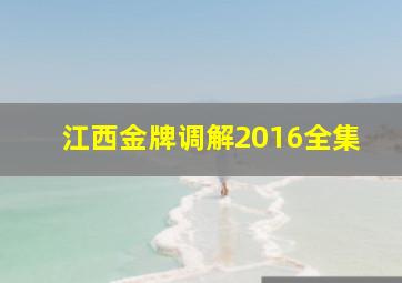 江西金牌调解2016全集